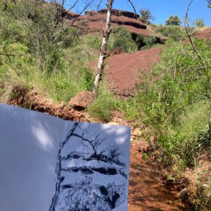 la trace et le fusain