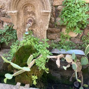 Carroussel-Ruffes-fontaine-400x400